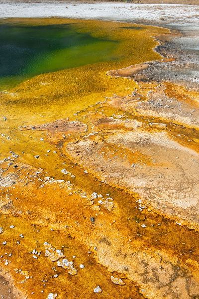 Hopkins, Cindy Miller 아티스트의 USA-Wyoming-Yellowstone National Park-Black Sand Basin-Emerald Pool-Green pool with yellow thermopi작품입니다.